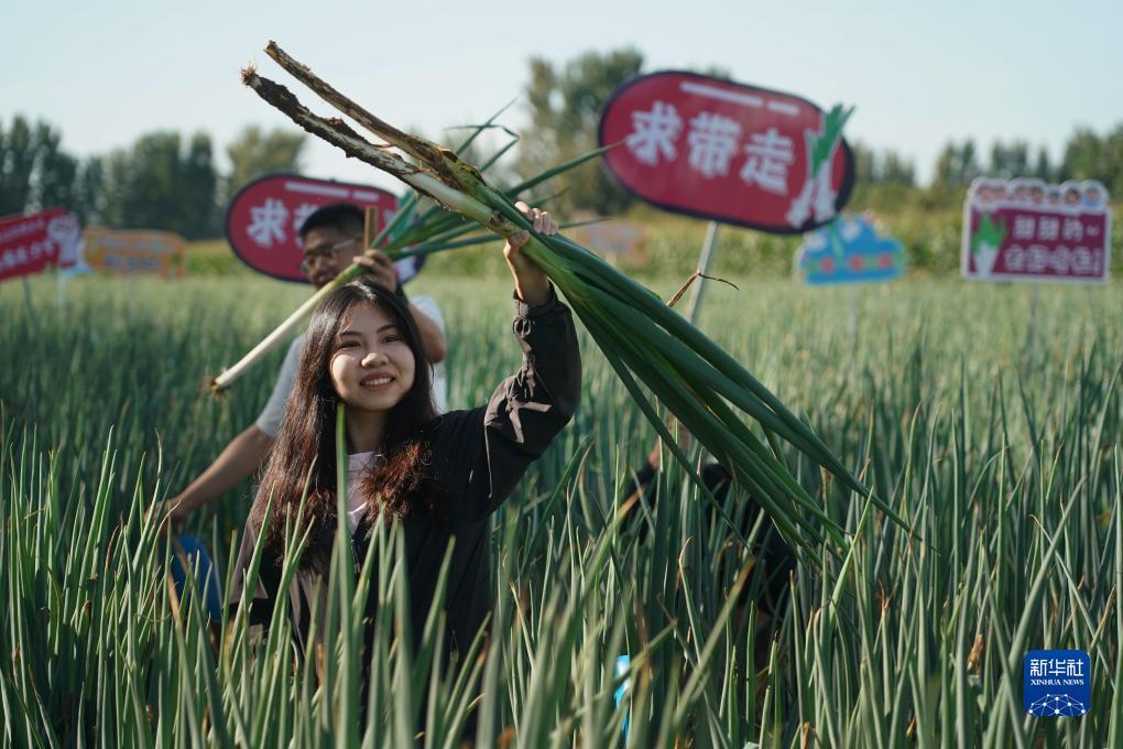 捕鱼达人3